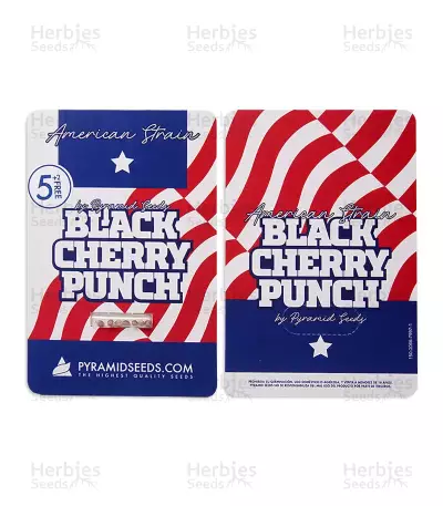 Black Cherry Punch Seeds