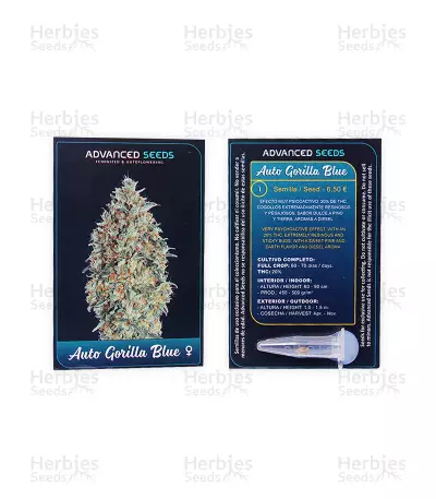 Auto Gorilla Blue Seeds
