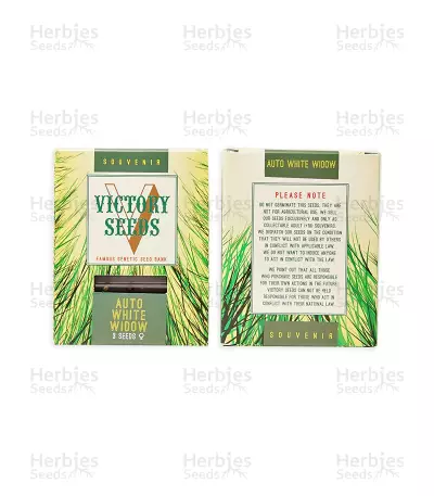White Widow feminized seeds (Victory Seeds)