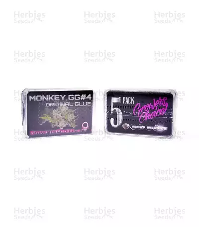 Graines de cannabis Monkey GG#4 Original Glue (Growers Choice)