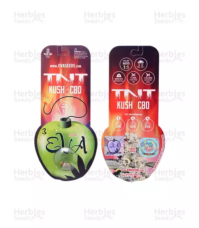 TNT Kush CBD feminized seeds