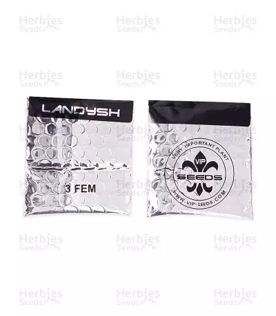 Landysh Seeds