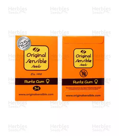 Runtz Gum strain seeds