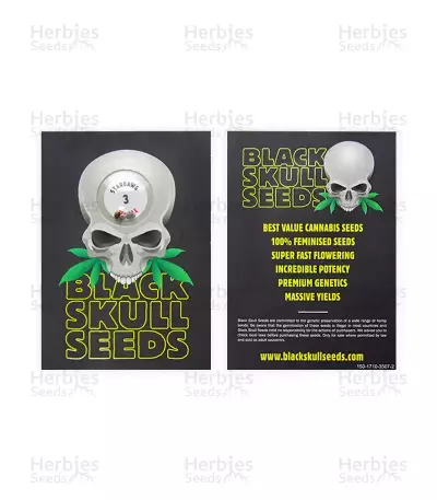 Stardawg Seeds