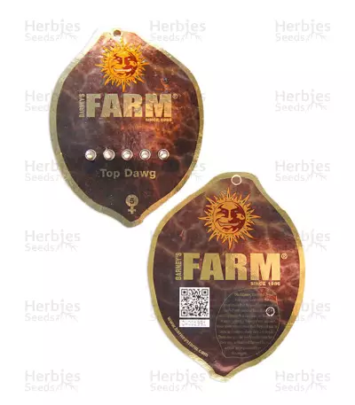 Top Dawg Seeds - Cannabis Strain Seeds for Sale