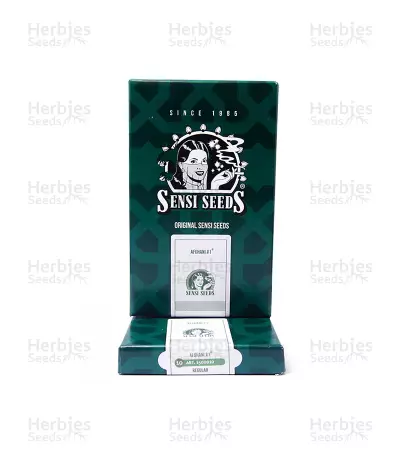 Afghani #1 regular (Sensi Seeds)
