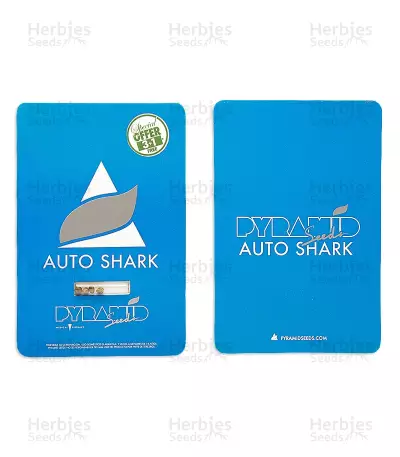 Auto Shark strain seeds