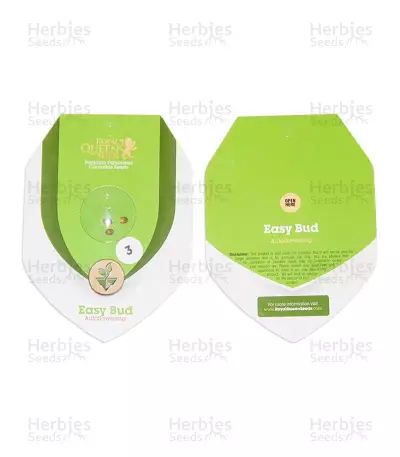 Easy Bud Auto (RQS) Cannabis-Samen