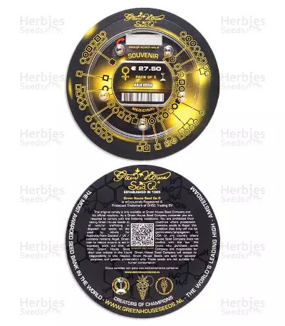 Graines de cannabis Kaia Kush (GHS)