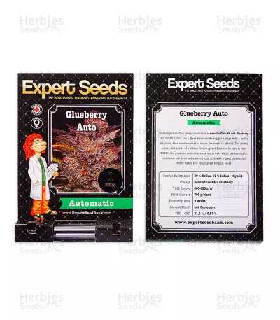 Blueberry Glue Auto (Glueberry Auto) Seeds