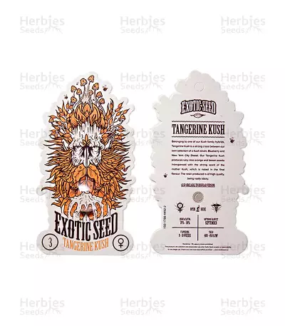 Tangerine Kush Seeds