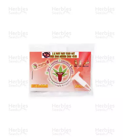 Puff Puff Pass Out feminized seeds