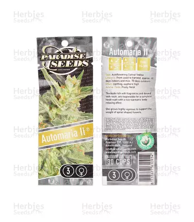Automaria II (Paradise Seeds) Cannabis-Samen