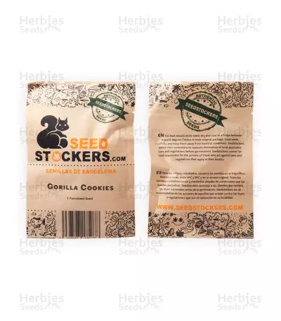 Graines féminisées de Gorilla Cookies (Seedstockers)