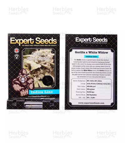Semi femminizzati di Gorilla × White Widow