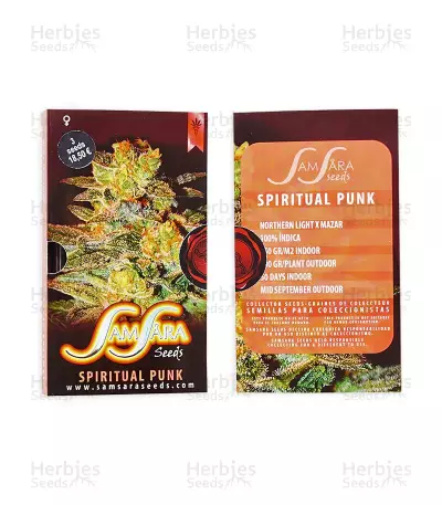 Spiritual Punk (Samsara Seeds)