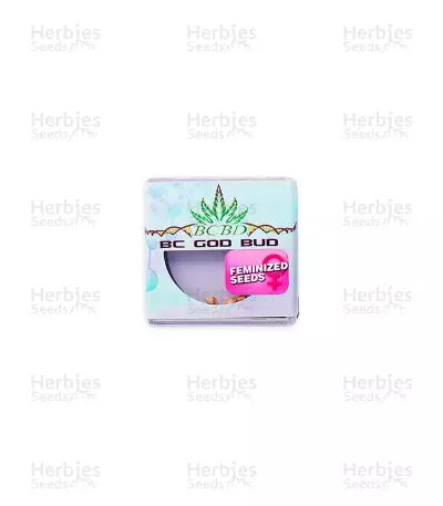 BC God Bud (BC Bud Depot Seeds)
