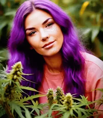 Glookies feminisierte Samen