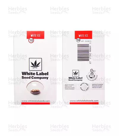 White Ice regular (White Label)