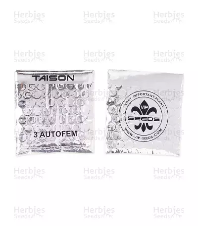 Taison Auto feminized seeds