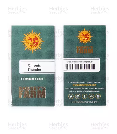 Chronic Thunder Seeds