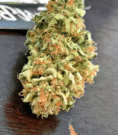 Semi femminizzati di Pineapple Glue