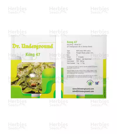 Graines de cannabis Kong 47 (Dr. Underground)