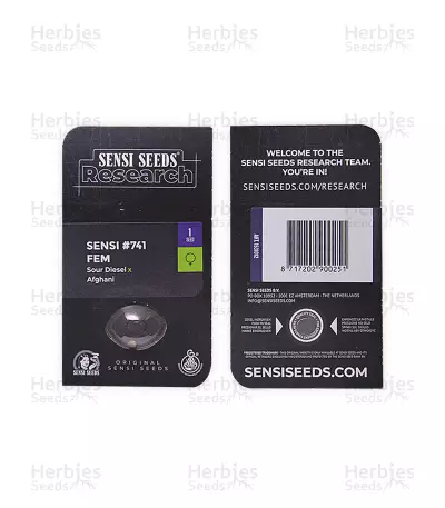 Sensi #741 (Sensi Seeds)