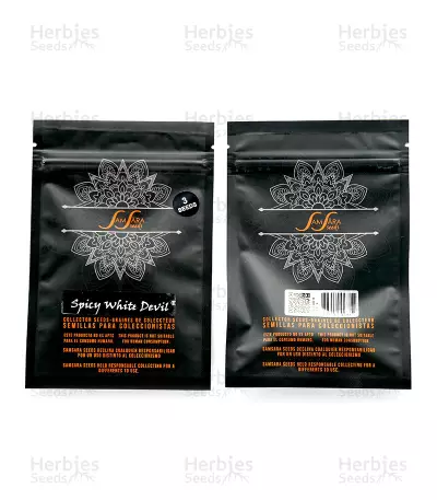 Spicy White Devil feminized seeds
