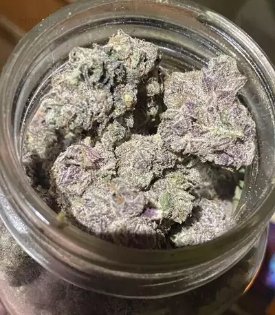 Runtz Muffin Seeds (Barney’s Farm)