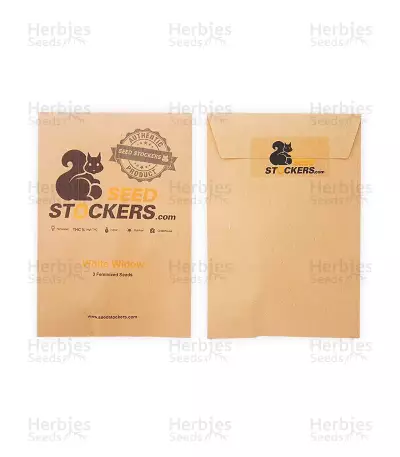White Widow feminized seeds (Seedstockers)