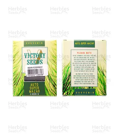 Auto Super Mazar feminized seeds