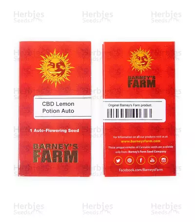 CBD Lemon Potion Auto Seeds