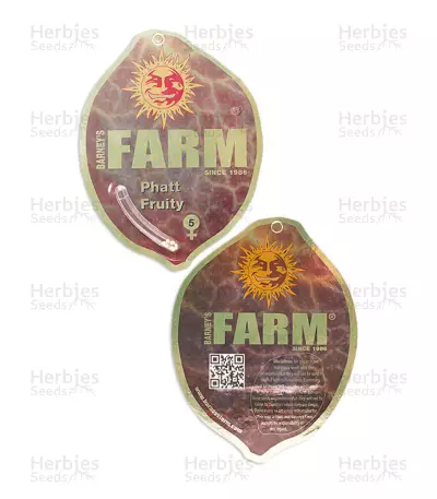 Phatt Fruity Seeds