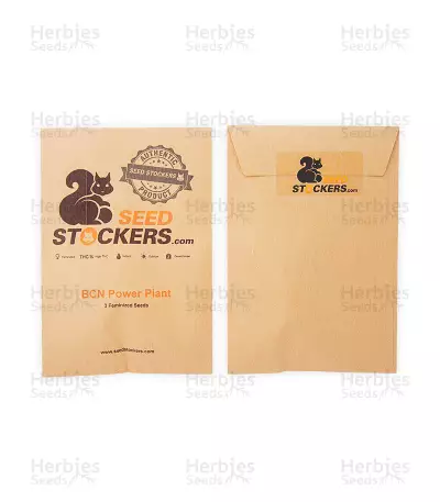 BCN Power Plant Seeds