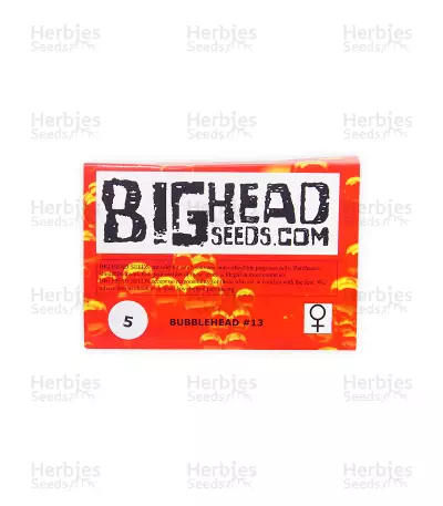 Bubblehead 13 (Big Head Seeds)
