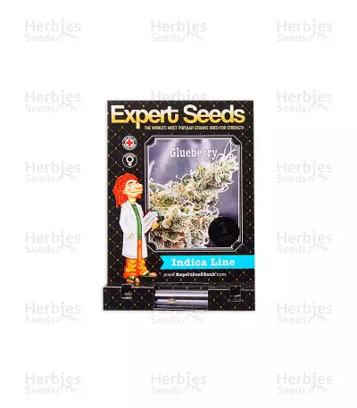 Graines de cannabis Glueberry (Expert Seeds)