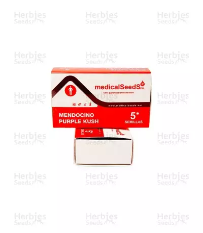 Mendocino Purple Kush (Medical Seeds)