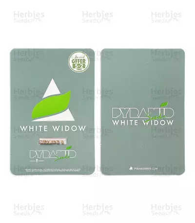 White Widow feminized seeds (Pyramid Seeds)