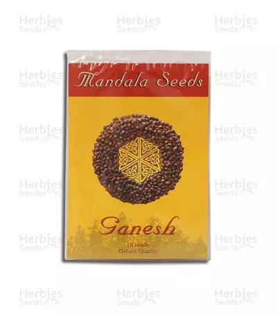 Ganesh regular (Mandala Seeds)