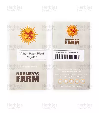 Afghan Hash Plant regular seeds