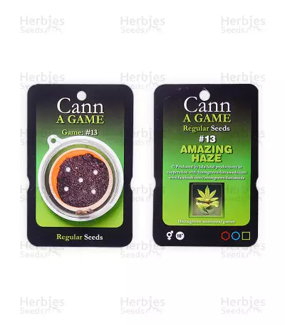 Amazing Haze regular (Homegrown Fantaseeds) Cannabis-Samen