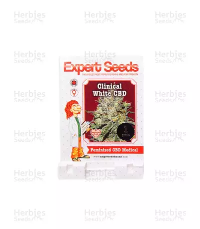 Clinical White CBD (Expert Seeds)