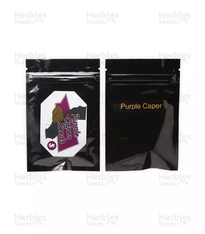 Purple Caper Regular (Purple Caper Seeds)