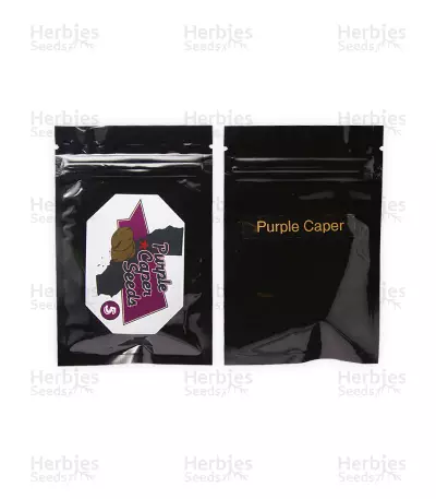 Purple Caper regular