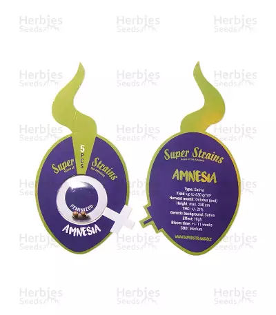 Amnesia Seeds (Super Strains Seeds)