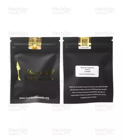 Banana Sapphire (Humboldt Seeds Organization)