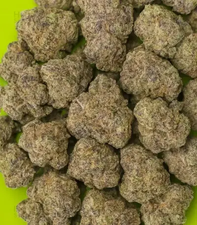 RS11 x Banana OG Seeds (Barney's Farm)