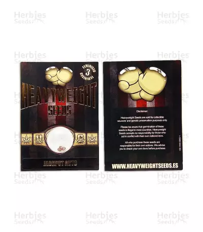 Graines de cannabis Jackpot Auto (Heavyweight Seeds)