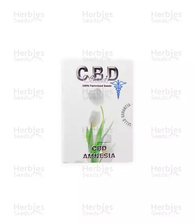 Graines de cannabis CBD Amnesia (CBD Seeds)